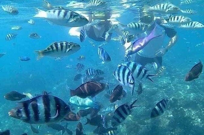 Bali Blue Lagoon Snorkling , Waterfalls - FAQ