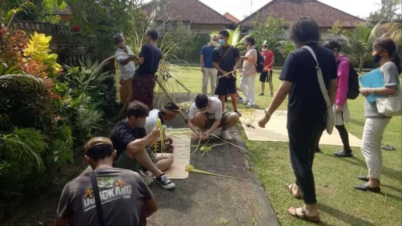 Bali: Budaya Cultural Village Tour with Locals - What to Expect From the Tour