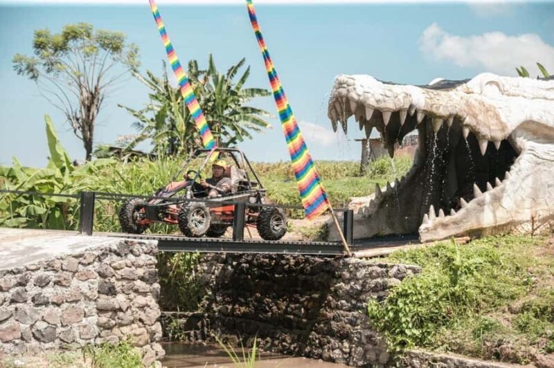 Bali: Buggy Adventure and Jungle Swing Combo - Practical Details and Tips