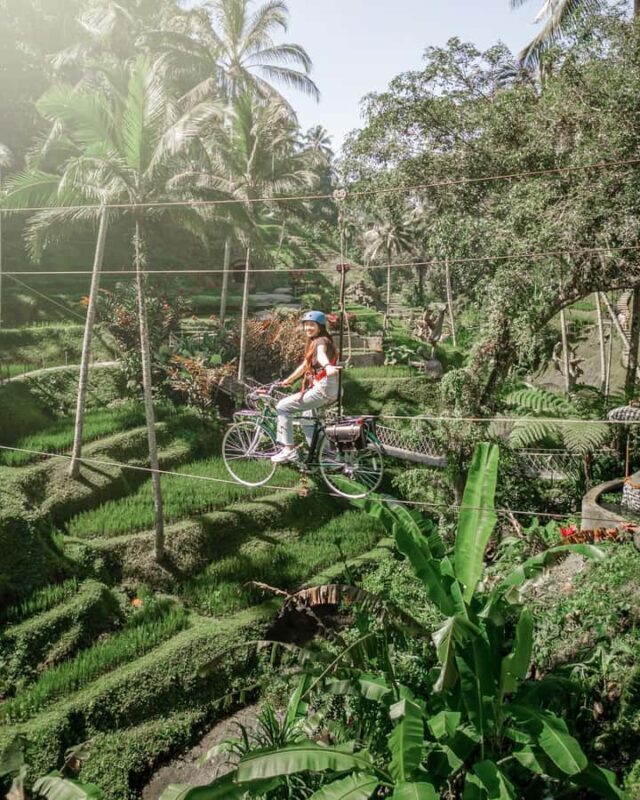 Bali: Buggy Adventure, Sky Bike, and Coffee Plantation Tour - Introduction to the Tour