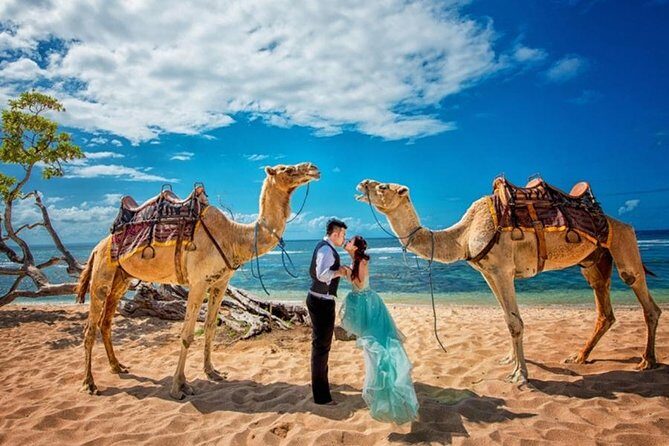 Bali Camel Ride on the Beach with Photo Session - What to Expect During Your Ride