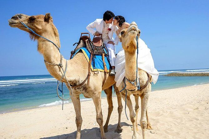 Bali Camel Ride on the Beach with Photo Session - What Do Past Participants Say?