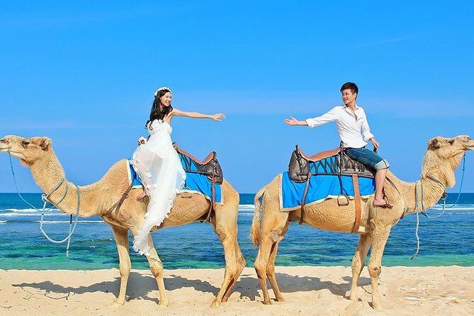 Bali Camel Ride on the Beach with Photo Session - Who Will Love This Experience?