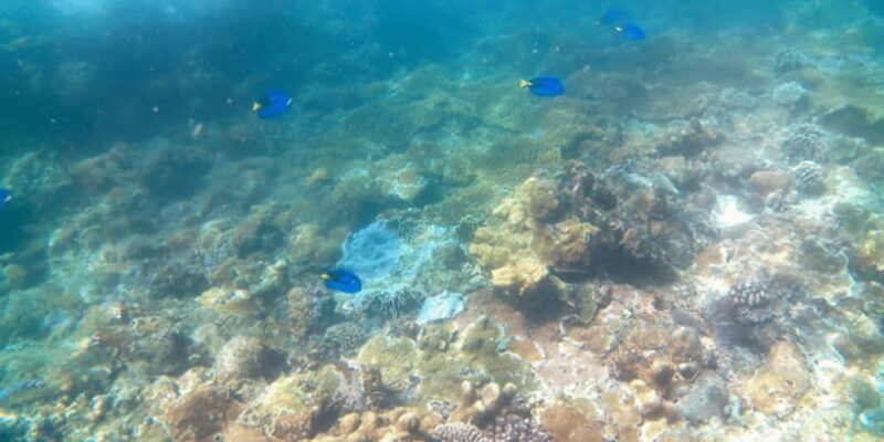 bali-candidasa-snorkeling-trips-with-transfer