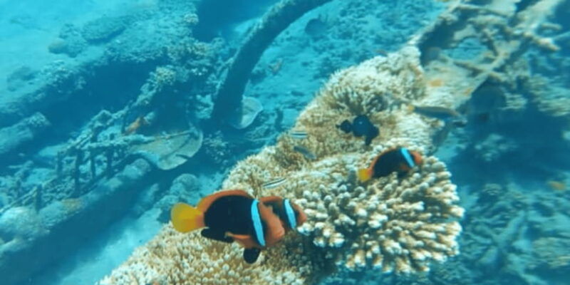 bali-candidasa-snorkeling-trips-with-transfer