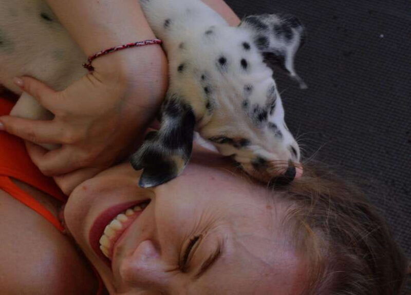 bali-canggu-ubud-puppy-yoga-class-with-refreshing-drinks