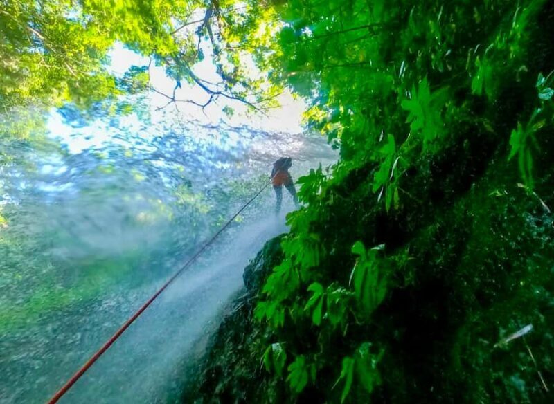 Bali: Canyoning Adventure at Aling Waterfall - The Value of the Bali Canyoning Tour