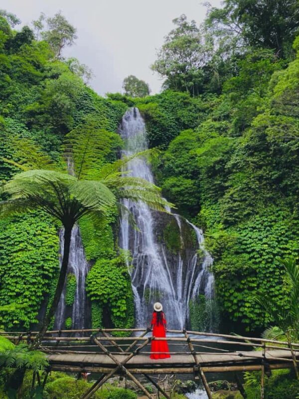 Bali: Celukan Bawang Shore Excursion with Waterfall & Beach - Who Should Consider This Tour?