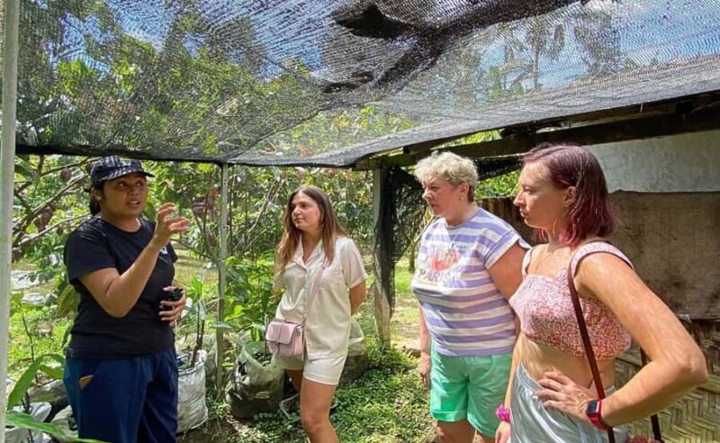 Bali: Chocolate Tour with Rice Terraces and Temple Visit - Key Points