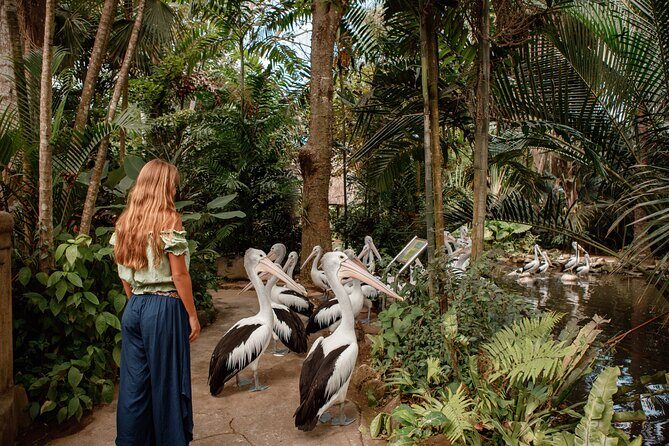 Bali City Pass Classic Attractions Sunrise Trek and More - Waterbom Bali – A Splash of Fun