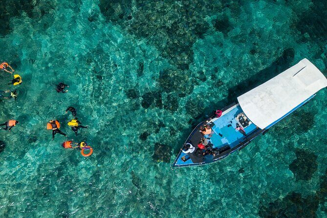 Bali City Pass Classic Attractions Sunrise Trek and More - Mekar Jungle Spa Ubud Bali – Wildlife & Conservation