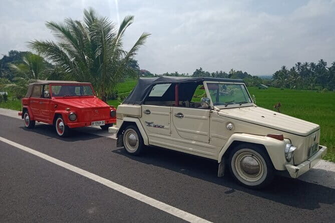Bali Classic Volkswagen Safari and Kintamani Volcano Private Tour - Key Points