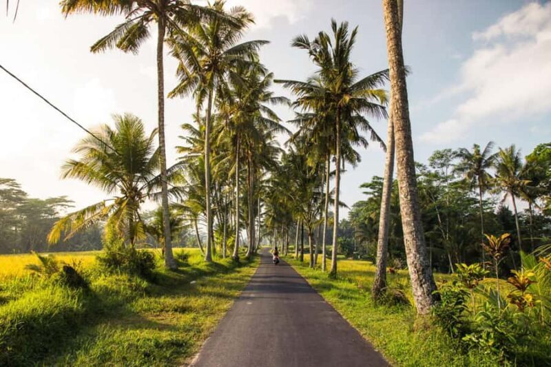 Bali Coastal Magic Waterblow,Canggu Vibes & Tanah Lot Sunset - Who Is This Tour Best Suited For?