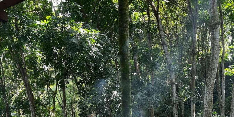 bali-cooking-class-with-5-balinese-dishes