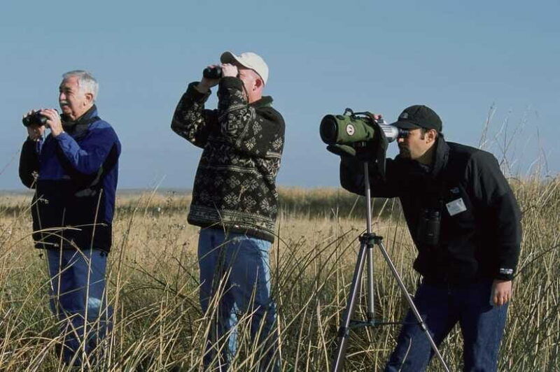 bali-countryside-bird-watching-tour-with-hotel-transfer