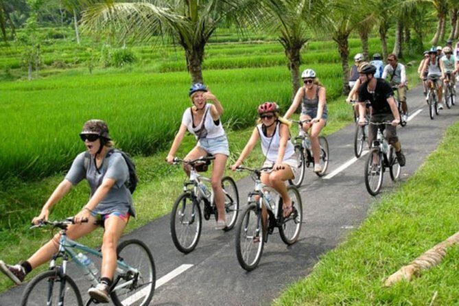 Bali Countryside Cycling Tour by Halo Bike Tour - Key Points