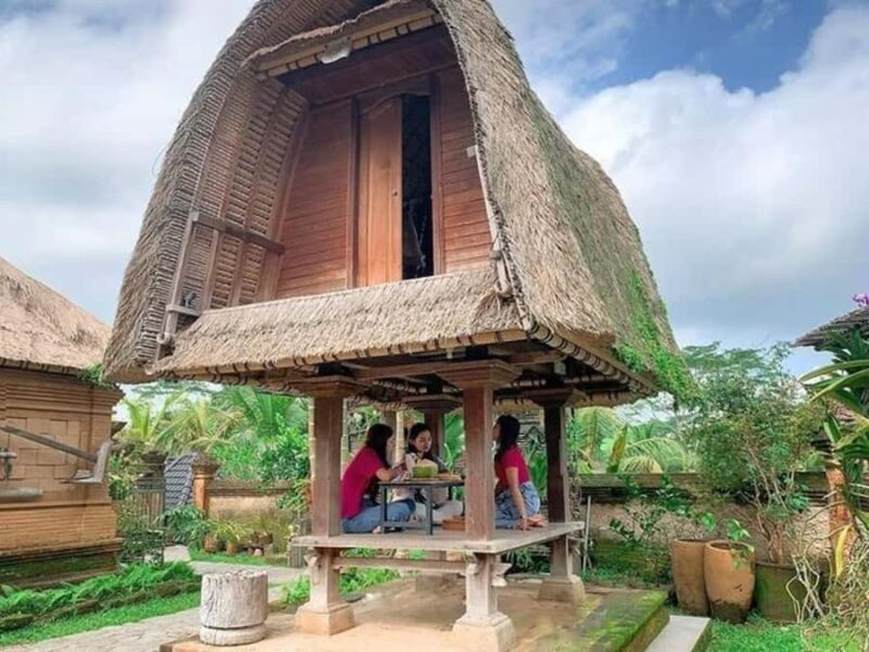 Bali: Countryside, Temple, Ricefield, Volcano with Lunch - A Potpourri of Balinese Culture and Nature