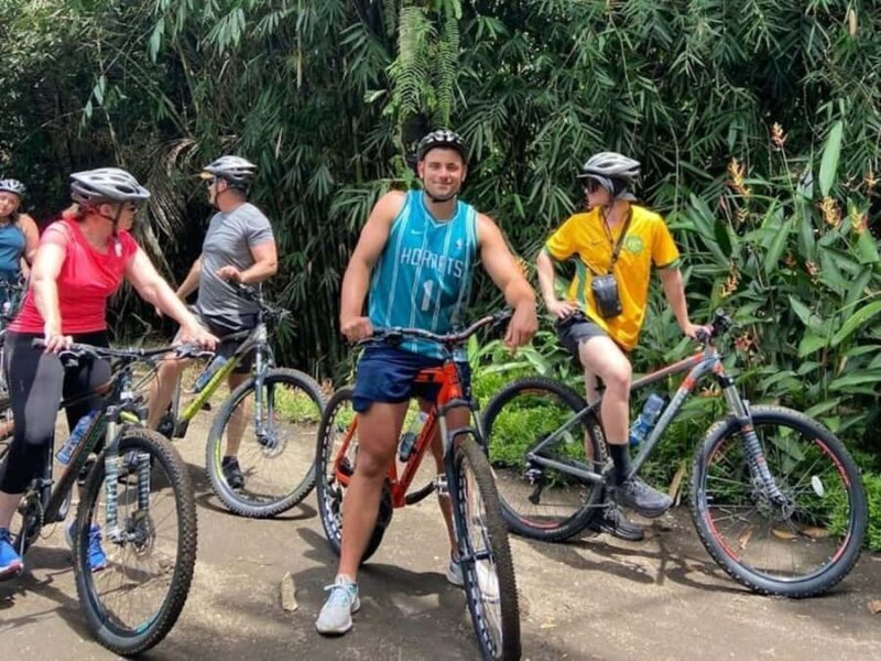 Bali: Countryside, Temple, Ricefield, Volcano with Lunch - Value and Cost