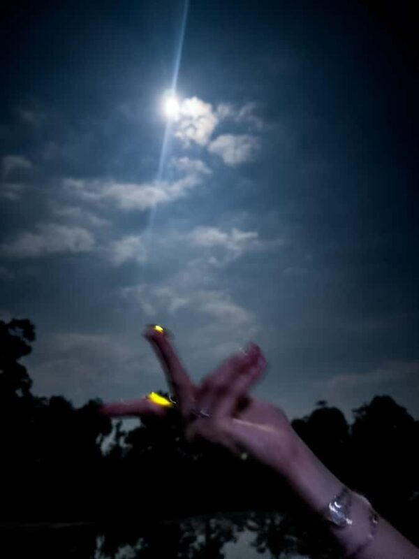 Bali: Cultural Ritual, Local Cuisine & Firefly Adventure - Why the Price Is Justified