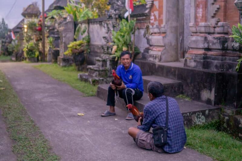 Bali: Cultural Ritual, Local Cuisine & Firefly Adventure - Who Will Love This Tour?