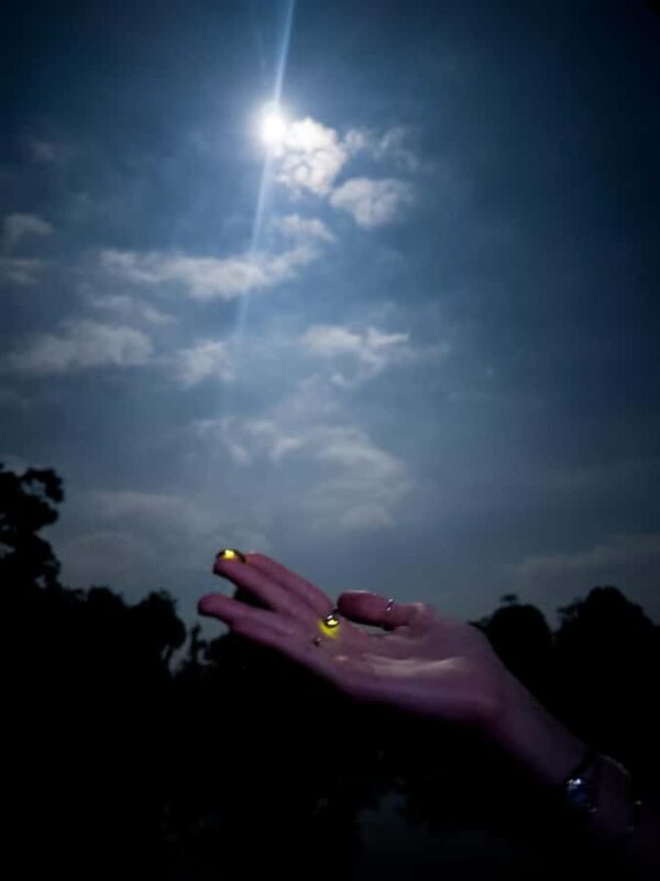 Bali: Cultural Ritual, Local Cuisine & Firefly Adventure - FAQ