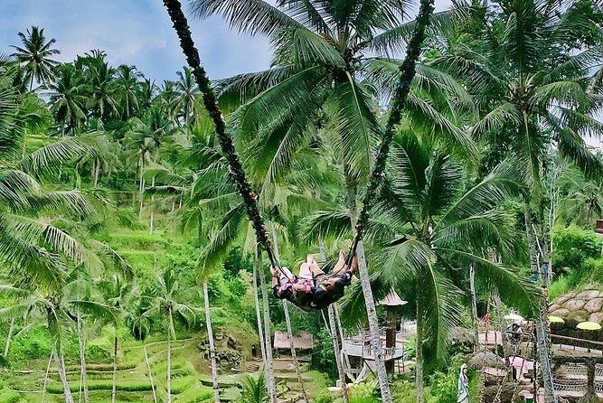 Bali Culture and Choose Your Bali Tour Route in Bali with Bali driver-Free WIFI - What You Can Expect from the Tour