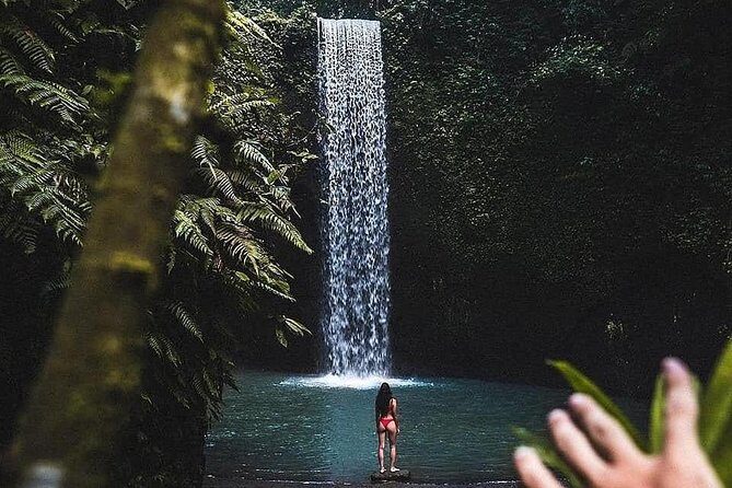 Bali Culture and Choose Your Bali Tour Route in Bali with Bali driver-Free WIFI - Who Should Book This Tour?