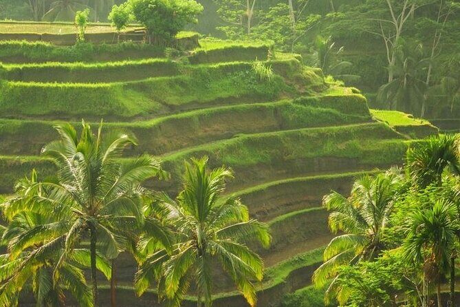 Bali Culture and Hidden waterfall Tour - FAQ