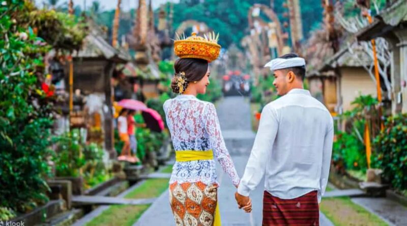 Bali: Culture Heritage Village & Holy Spring PrivateDay Tour - Key Points