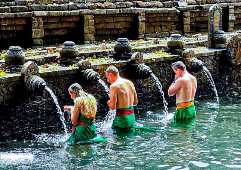 Bali: Culture Heritage Village & Holy Spring PrivateDay Tour - Practical Details: What to Expect and How to Prepare