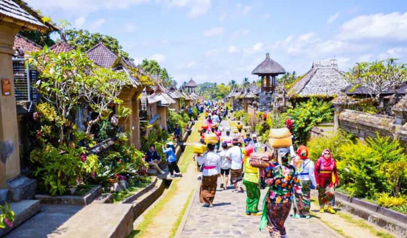 Bali: Culture Heritage Village & Holy Spring PrivateDay Tour - Final Thoughts