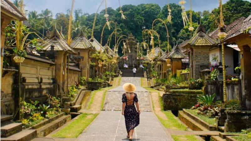 Bali Culture Tour: Plantation, Penglipuran, Kecak Dance - Who Is This Tour Best For?