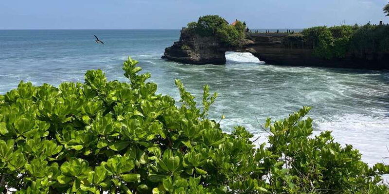 bali-customise-your-bali-tour-with-driver-guide