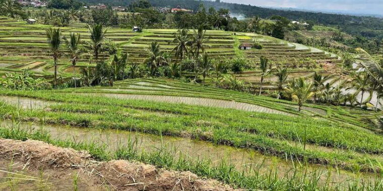 bali-customise-your-bali-tour-with-driver-guide