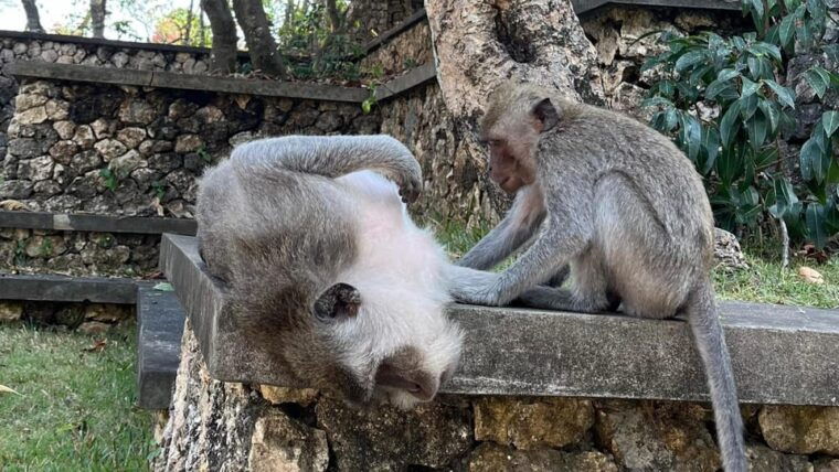 bali-customise-your-bali-tour-with-driver-guide