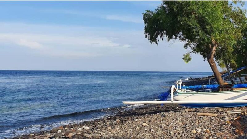 Bali: Customised East Bali Tour with Transfer Hotel - A Day in East Bali: What to Expect from the Tour