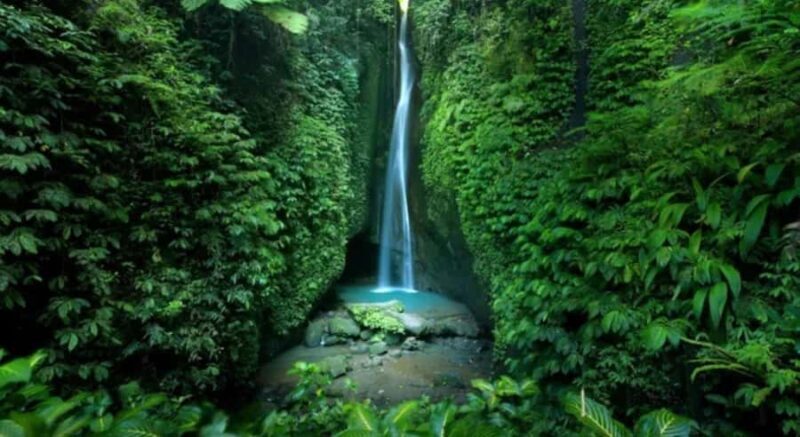 Bali: Customised North Bali Tour With Hotel Transfer - Key Points