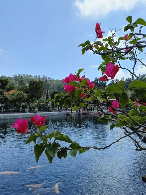 bali-customizable-bali-tour-with-local-guide