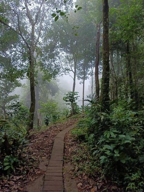 bali-customizable-bali-tour-with-local-guide