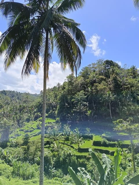 bali-customizable-bali-tour-with-local-guide