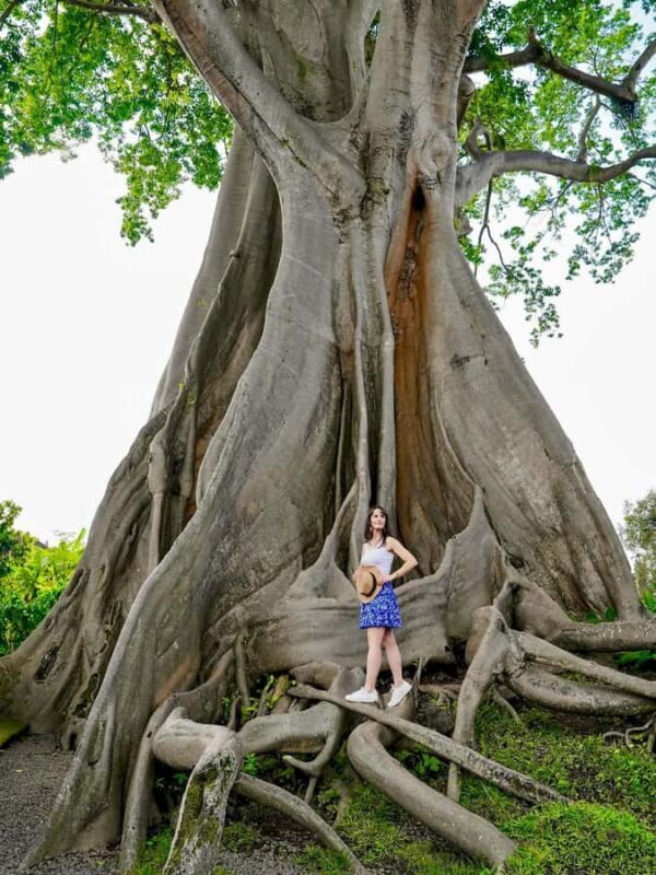 Bali: Customizable Full-Day Private Tour with 5 Routes - FAQ