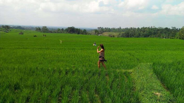 bali-customizable-private-tour