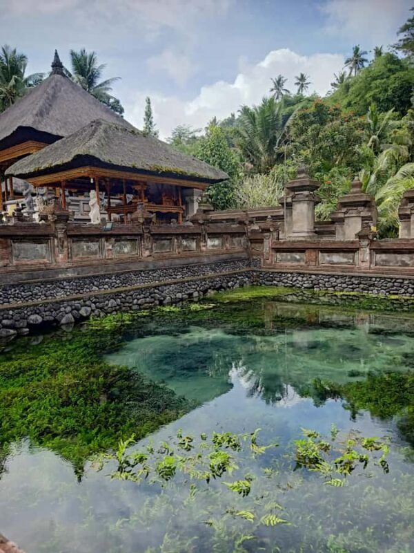 Bali: Customize Private Day Tour with Driver-Guide - The Sum Up