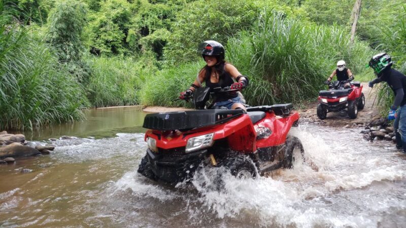 Bali: Customized Private Car Charter with Optional Guide - The Sum Up