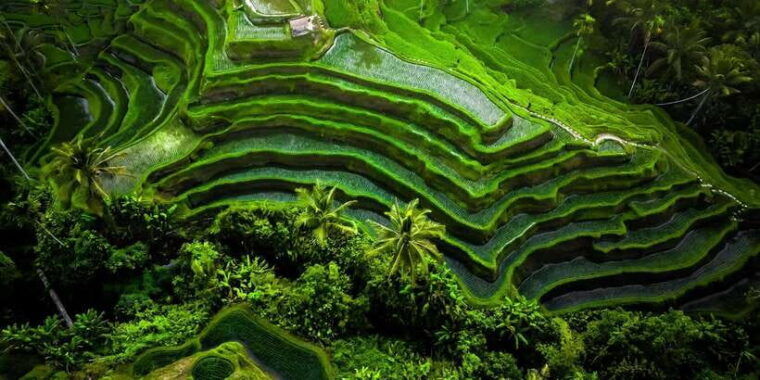 bali-customized-private-car-charter-with-optional-guide