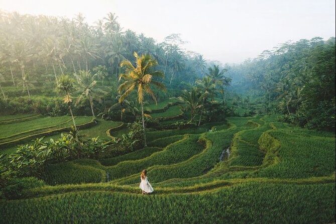 Bali Customized Private Tour: Flexible One or Multi-Day - What Reviewers Say