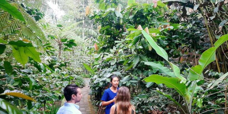 bali-customized-private-tour