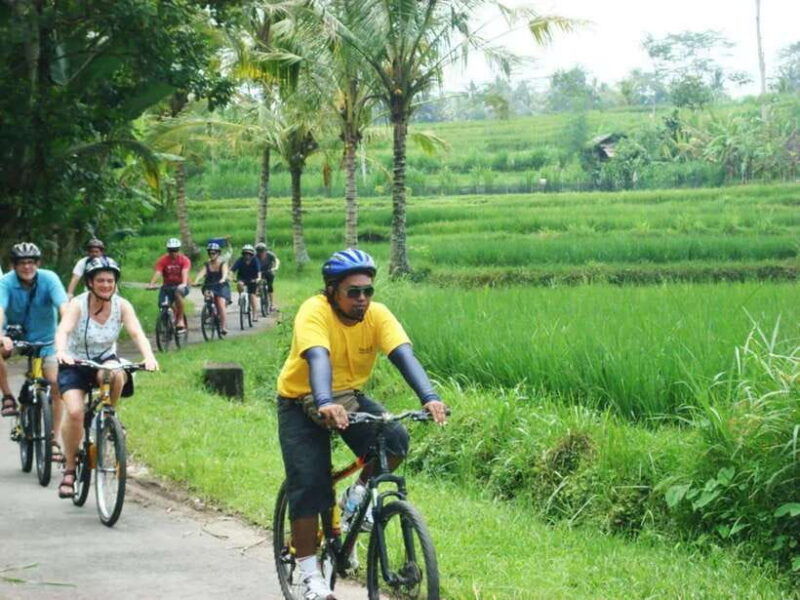 bali-cycling-tour-with-lunch-and-hotel-transfer