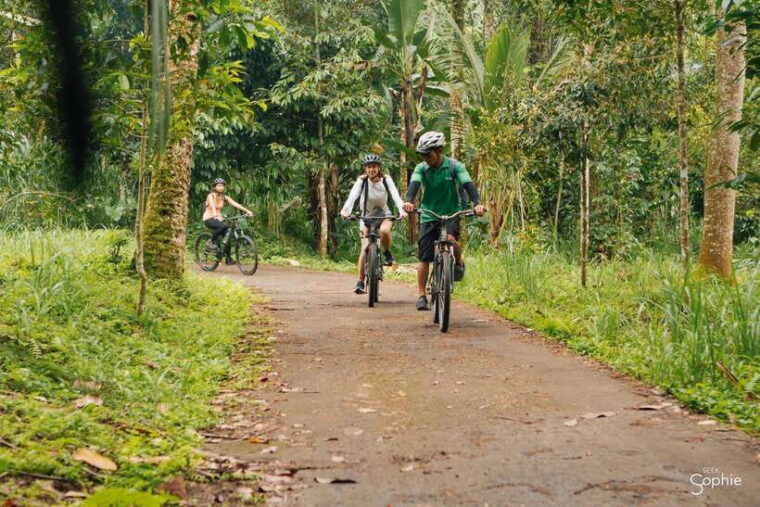 bali-cycling-tour-with-lunch-and-hotel-transfer