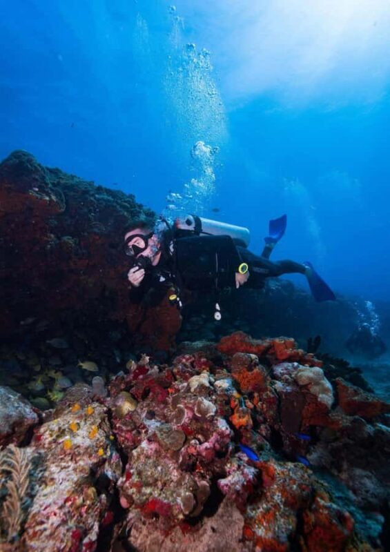 Bali Day Trip: Fun Dive at Liberty Wreck & Kayak Adventure - Why This Tour Offers Great Value